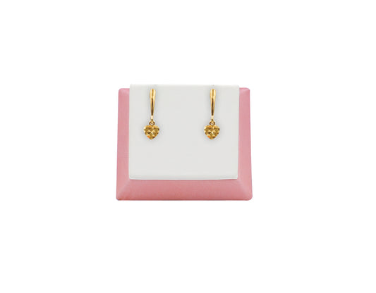 18K Gold Earring SP 06/38