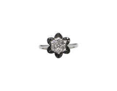 18K White Gold Ring With black Diamonds WJ640827